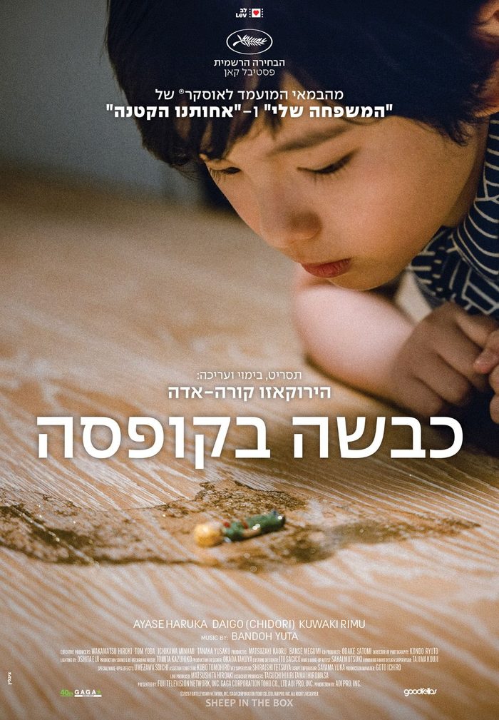 כרזת הסרט כבשה בקופסה